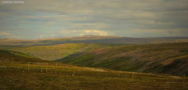 Tam gdzie zaczynają się strumienie.